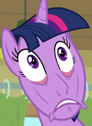 Size: 786x1080 | Tagged: safe, screencap, twilight sparkle, alicorn, pony, season 9, the point of no return, spoiler:s09, close-up, creepy, cropped, cursed image, faic, female, great moments in animation, horrifying, mare, png, solo, twilight sparkle (alicorn), twilight sparkle is best facemaker, wat, what has science done, why the long face, wtf