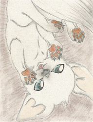 Size: 1718x2249 | Tagged: safe, artist:cindertale, oc, oc only, oc:dr. wolf, wolf, lying down, male, on back, paw pads, paws, solo, traditional art, underpaw