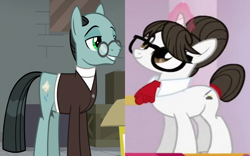 Size: 1342x840 | Tagged: safe, edit, edited screencap, screencap, raven, sans smirk, earth pony, pony, unicorn, g4, the crystal empire, the last laugh, background pony, crack shipping, cropped, female, glasses, male, mare, ravensmirk, shipping, shipping domino, smiling, stallion, straight