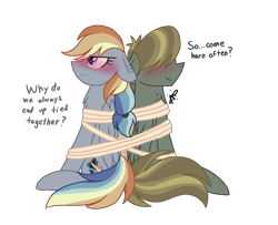 Size: 1947x1581 | Tagged: safe, artist:gallantserver, oc, oc only, oc:coriolis force, oc:scarab, pegasus, pony, blushing, bound together, female, magical lesbian spawn, male, mare, offspring, parent:daring do, parent:quibble pants, parent:rainbow dash, parent:somnambula, parents:daringdash, parents:quibbledash, simple background, stallion, tied up, transparent background
