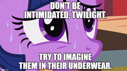 Size: 888x499 | Tagged: safe, artist:megalobronia, edit, edited screencap, screencap, twilight sparkle, g4, it's about time, season 2, caption, close-up, image macro, imgflip, meme, oh no he's hot, spongebob squarepants, squilliam returns, sweat, text, we don't normally wear clothes