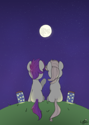Size: 1400x1950 | Tagged: safe, artist:lyrabop, oc, oc only, oc:lyrabop, oc:shepard, earth pony, firefly (insect), insect, pony, duo, grass, moon, night, night sky, ponies sitting next to each other, sky, stargazing, stars