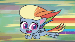 Size: 1920x1080 | Tagged: safe, screencap, rainbow dash, pegasus, pony, g4.5, my little pony: pony life, playwright or wrong, animated, breaking the fourth wall, faic, flying, poggers, rainbow dash is best facemaker, sound, talking, webm