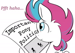 Size: 2048x1448 | Tagged: safe, artist:balychen, zipp storm, pegasus, pony, g5, comic, female, mare, newspaper, simple background, solo, text, white background