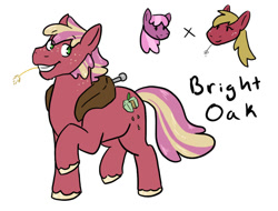 Size: 1024x779 | Tagged: safe, artist:moonstruck-badger, big macintosh, cheerilee, oc, oc:bright oak, earth pony, pony, g4, freckles, male, offspring, parent:big macintosh, parent:cheerilee, parents:cheerimac, simple background, stallion, straw in mouth, transgender, unshorn fetlocks, white background