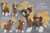 Size: 1307x871 | Tagged: safe, artist:wdeleon, oc, oc only, oc:sea spray, earth pony, pony, amputee, coat markings, commission, craft, female, filly, irl, multiple angles, photo, plushie, smiling, socks (coat markings), solo, standing, toy