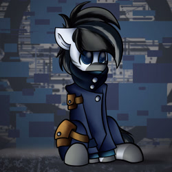 Size: 3000x3000 | Tagged: safe, artist:kranonetwork, oc, oc only, pony, zebra, clothes, coat, cute, high res, pouch, puppy dog eyes, sitting, solo