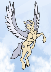 Size: 2480x3508 | Tagged: safe, artist:tofuslied-, oc, oc only, oc:windtrail, pegasus, pony, high res, solo