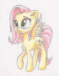 Size: 742x957 | Tagged: safe, artist:itchystomach, fluttershy, pegasus, pony, g4, chest fluff, female, mare, pencil drawing, raised hoof, solo, spread wings, standing, three quarter view, traditional art, wings