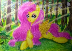 Size: 885x630 | Tagged: safe, artist:shadowingartist, fluttershy, pegasus, pony, g4, crepuscular rays, cute, daaaaaaaaaaaw, female, forest, long hair, lying down, mare, prone, shyabetes, smiling, solo, traditional art, wings