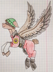 Size: 2393x3255 | Tagged: safe, artist:agdapl, pegasus, pony, beanie, clothes, crossover, demoman, demoman (tf2), graph paper, hat, high res, male, ponified, rearing, signature, solo, stallion, team fortress 2, traditional art, two toned wings, wings