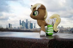 Size: 640x426 | Tagged: safe, oc, oc:unity (brony fair), irl, moscow, photo, plushie, russia