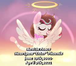 Size: 1024x890 | Tagged: safe, artist:doraeartdreams-aspy, oc, oc only, oc:heartpaw phoenix, pony, halo, rest in peace, solo