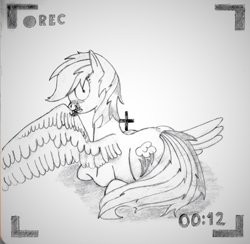 Size: 2237x2184 | Tagged: safe, artist:harleneap, rainbow dash, pegasus, pony, g4, camera shot, grooming, high res, monochrome, pencil drawing, preening, recording, solo, traditional art