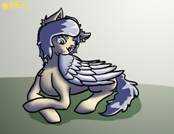 Size: 3300x2550 | Tagged: safe, artist:tofuslied-, oc, oc only, oc:windtrail, pegasus, pony, grooming, high res, preening, solo