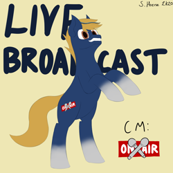 Size: 1500x1500 | Tagged: safe, artist:shoophoerse, oc, oc only, oc:live broadcast, earth pony, pony, coat markings, cutie mark, looking up, male, mane highlights, reference sheet, signature, simple background, socks (coat markings), solo, stallion, text