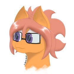 Size: 1500x1500 | Tagged: safe, artist:shoophoerse, oc, oc only, oc:shoop, pegasus, pony, bust, glasses, portrait, signature, simple background, solo, white background