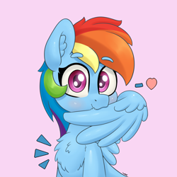 Size: 4000x4000 | Tagged: safe, artist:yelowcrom, rainbow dash, pegasus, pony, g4, chest fluff, cute, dashabetes, ear fluff, female, grooming, looking at you, mare, preening, simple background, solo, wings