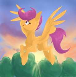 Size: 3318x3378 | Tagged: safe, artist:shamone, scootaloo, pegasus, pony, g4, commission, cutie mark crusaders, female, flying, full body, high res, looking up, mare, older, older scootaloo, scootaloo can fly, solo, sunrise, sunset