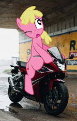 Size: 634x1000 | Tagged: safe, artist:quanno3, artist:topsangtheman, edit, cherry berry, earth pony, pony, g4, background pony, derp, dexterous hooves, female, irl, mare, motorcycle, one eye closed, open mouth, photo, riding, tunnel, vector
