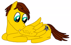 Size: 2644x1674 | Tagged: safe, artist:sb1991, oc, oc only, oc:film reel, pegasus, pony, grooming, preening, simple background, solo