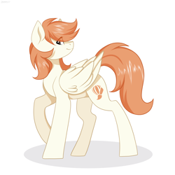 Size: 2500x2500 | Tagged: safe, artist:cottonaime, oc, oc only, oc:coreldraw, pegasus, pony, female, high res, mare