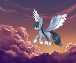 Size: 1280x1064 | Tagged: safe, artist:winnigrette, oc, oc only, pegasus, pony, braid, cloud, commission, digital art, female, flying, hooves, mare, scenery, sky, sky background, solo, spread wings, tail, unshorn fetlocks, wings, ych result