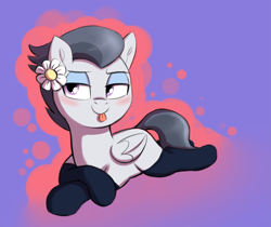 Size: 2427x2043 | Tagged: safe, artist:heretichesh, rumble, pegasus, pony, blushing, clothes, colt, crossdressing, crossed legs, flower, flower in hair, girly, high res, lying down, makeup, male, mlem, silly, smug, socks, solo, tongue out