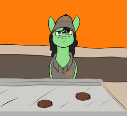 Size: 1618x1473 | Tagged: safe, artist:6pony66, oc, oc only, oc:anon-mare, earth pony, pony, solo, whatamare, working