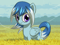 Size: 800x600 | Tagged: safe, artist:rangelost, oc, oc only, pegasus, pony, cyoa:d20 pony, cloud, female, field, looking at you, mare, outdoors, pixel art, sky, solo, standing, windswept mane, windswept tail