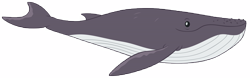Size: 16148x5064 | Tagged: safe, artist:andoanimalia, humpback whale, whale, g4, growing up is hard to do, absurd resolution, animal, simple background, smiling, solo, transparent background, vector