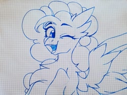 Size: 1080x810 | Tagged: safe, artist:tessa_key_, pinkie pie, griffon, pony, g4, bust, chest fluff, ear fluff, eyelashes, graph paper, griffonized, lineart, one eye closed, solo, species swap, traditional art, wings, wink