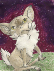 Size: 1688x2206 | Tagged: safe, artist:cindertale, oc, oc only, oc:cinder, deer, chest fluff, cloven hooves, deer oc, ear fluff, looking up, night, outdoors, sitting, solo, stars, traditional art