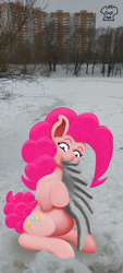 Size: 1800x4000 | Tagged: safe, artist:a-jaller, pinkie pie, earth pony, pony, g4, biting, implied derpy, wing bite, wings