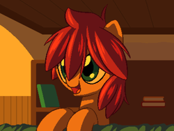 Size: 800x600 | Tagged: safe, artist:rangelost, oc, oc only, oc:trailblazer, earth pony, pony, cyoa:d20 pony, bedroom, book, bookshelf, bust, female, indoors, mare, pixel art, solo