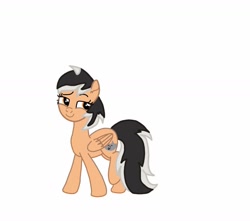 Size: 1280x1129 | Tagged: safe, artist:magickyotearts112295, oc, oc only, oc:hearty felt, pegasus, pony, base used, looking back, raised eyebrow, simple background, solo, walking, white background