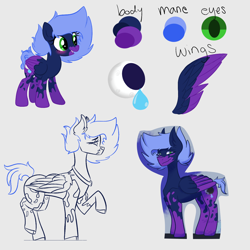 Size: 1300x1300 | Tagged: safe, artist:squirtlesuniverse, oc, oc only, oc:moon drop, pony, coat markings, crying, female, mare, raised hoof, simple background, socks (coat markings), two toned wings, white background, wings