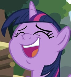 Size: 490x531 | Tagged: safe, screencap, twilight sparkle, alicorn, pony, g4, memnagerie, spoiler:memnagerie, close-up, cropped, cute, eyes closed, faic, female, mare, open mouth, smiling, solo, twiabetes, twilight sparkle (alicorn)