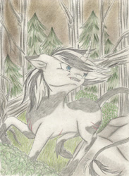 Size: 2097x2860 | Tagged: safe, artist:cindertale, oc, oc only, pony, unicorn, forest, high res, horn, looking back, outdoors, raised hoof, solo, traditional art, tree, unicorn oc