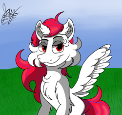 Size: 1600x1500 | Tagged: safe, artist:jay_wackal, oc, oc only, oc:droplet rain, pegasus, pony, cheek fluff, chest fluff, ear fluff, female, looking at you, solo, wings