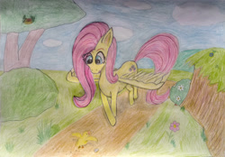 Size: 3900x2712 | Tagged: safe, artist:hofdawn, fluttershy, pegasus, pony, g4, colored pencil drawing, high res, nest, solo, spread wings, traditional art, tree, wings