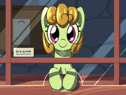 Size: 800x600 | Tagged: safe, artist:rangelost, oc, oc only, earth pony, pony, cyoa:d20 pony, bust, female, looking at you, mare, pixel art, solo, ticket, ticket booth, train station