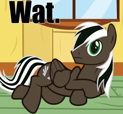 Size: 1280x1181 | Tagged: safe, artist:spectty, oc, oc:spectty, pegasus, pony, ask, caption, draw me like one of your french girls, image macro, lying, lying down, lying on the floor, meme, pegasus oc, presenting, puzzled, striped tail, text, tumblr, two toned mane, wat