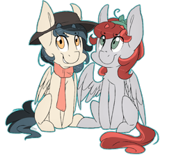 Size: 3893x3456 | Tagged: safe, artist:cookietasticx3, oc, oc only, pegasus, pony, clothes, duo, hat, high res, pegasus oc, scarf, simple background, sitting, smiling, sun hat, transparent background, wings