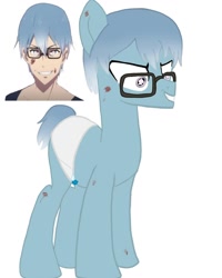 Size: 1080x1350 | Tagged: safe, alternate version, artist:ponyrefaa, earth pony, human, pony, bust, clothes, crossover, duo, glasses, insanity, kaname asagiri, magical girl site, male, ponified, simple background, stallion, white background