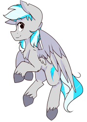 Size: 3459x4847 | Tagged: safe, artist:cookietasticx3, oc, oc only, pegasus, pony, absurd resolution, male, pegasus oc, simple background, solo, stallion, transparent background, unshorn fetlocks, wings