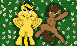 Size: 5030x3030 | Tagged: safe, artist:small-brooke1998, oc, oc only, oc:bumblebee, oc:charlie, alicorn, earth pony, pony, alicorn oc, earth pony oc, female, horn, male, mare, stallion, wings