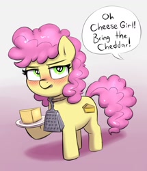 Size: 1230x1432 | Tagged: safe, artist:heretichesh, li'l cheese, earth pony, pony, g4, the last problem, blushing, cheese, cheese grater, collar, dialogue, female, filly, food, heart eyes, offscreen character, plate, unamused, wingding eyes