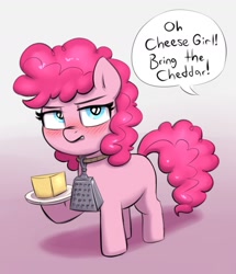 Size: 1230x1432 | Tagged: safe, alternate version, artist:heretichesh, pinkie pie, earth pony, pony, g4, blushing, cheese, cheese grater, collar, dialogue, food, offscreen character, pinkie pie is not amused, plate, unamused