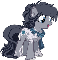 Size: 1480x1544 | Tagged: safe, artist:fibonaccis, oc, oc only, oc:hero, earth pony, pony, base used, chest fluff, clothes, female, mare, shawl, simple background, solo, transparent background